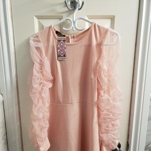 Pink Mesh Rouched Sleeve Skater Dress from Boohoo